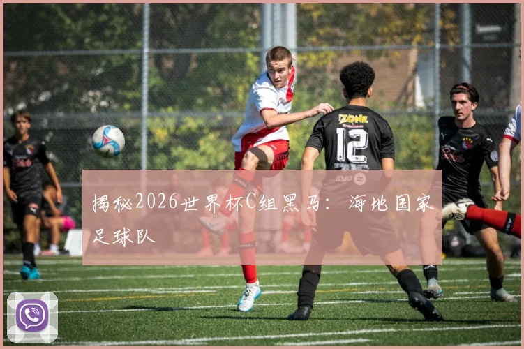 揭秘2026世界杯C组黑马:海地国家足球队